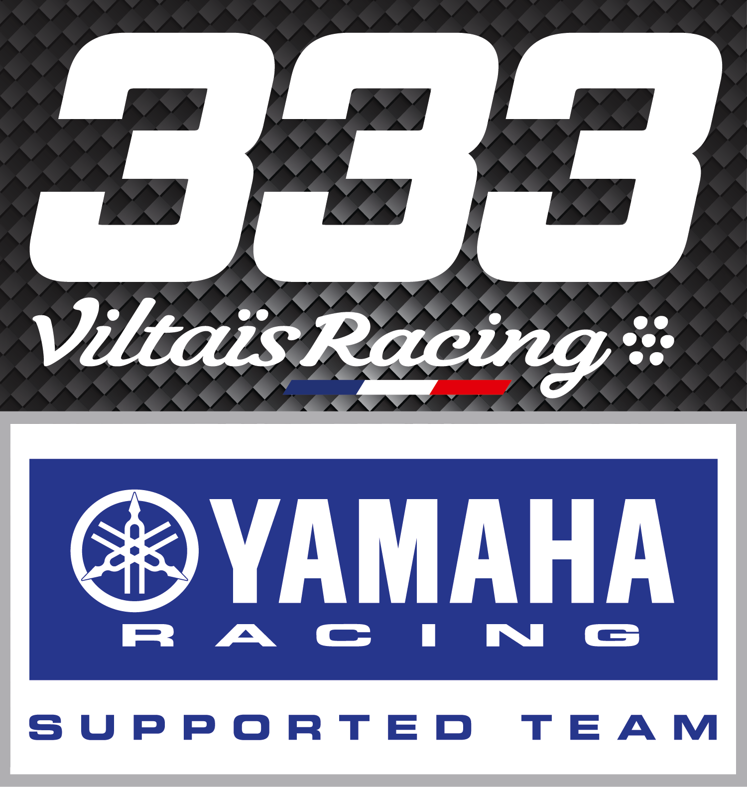 logo-team-333